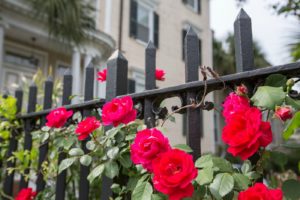 Broad Street Tour in Charleston SC. 